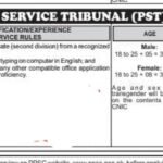 Current image: Junior Clerk Post 2025 – Excellent Opportunity for Punjab Service Tribunal Jobs